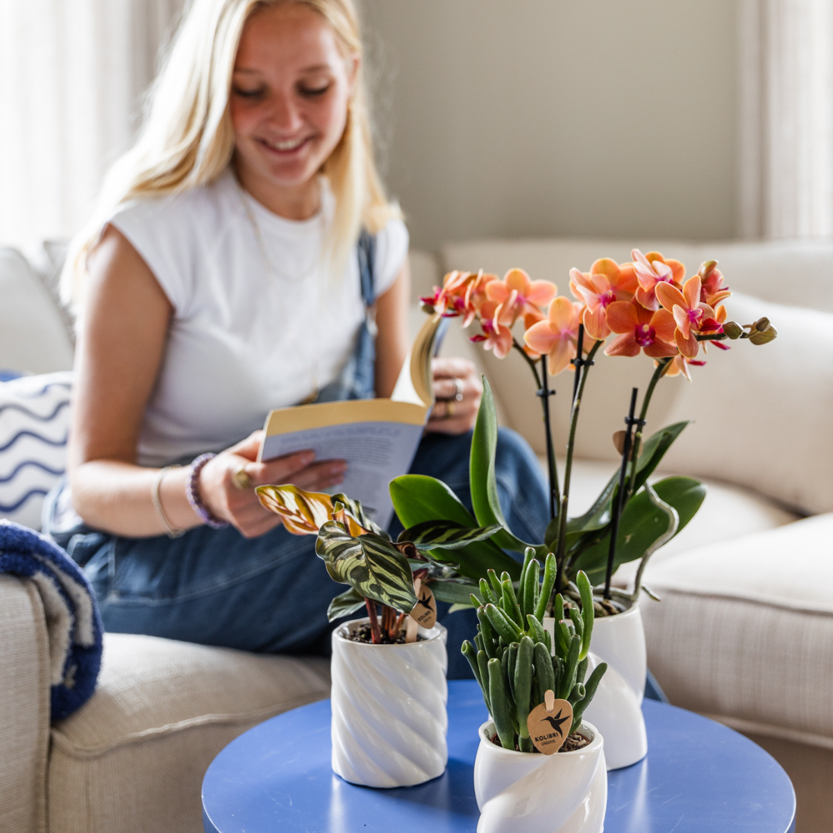 Orchidées Kolibri | Offre combinée de 4 orchidées Phalaenopsis orange - Bolzano - pot de 9 cm de diamètre | plante d'intérieur fleurie - fraîchement cueillie