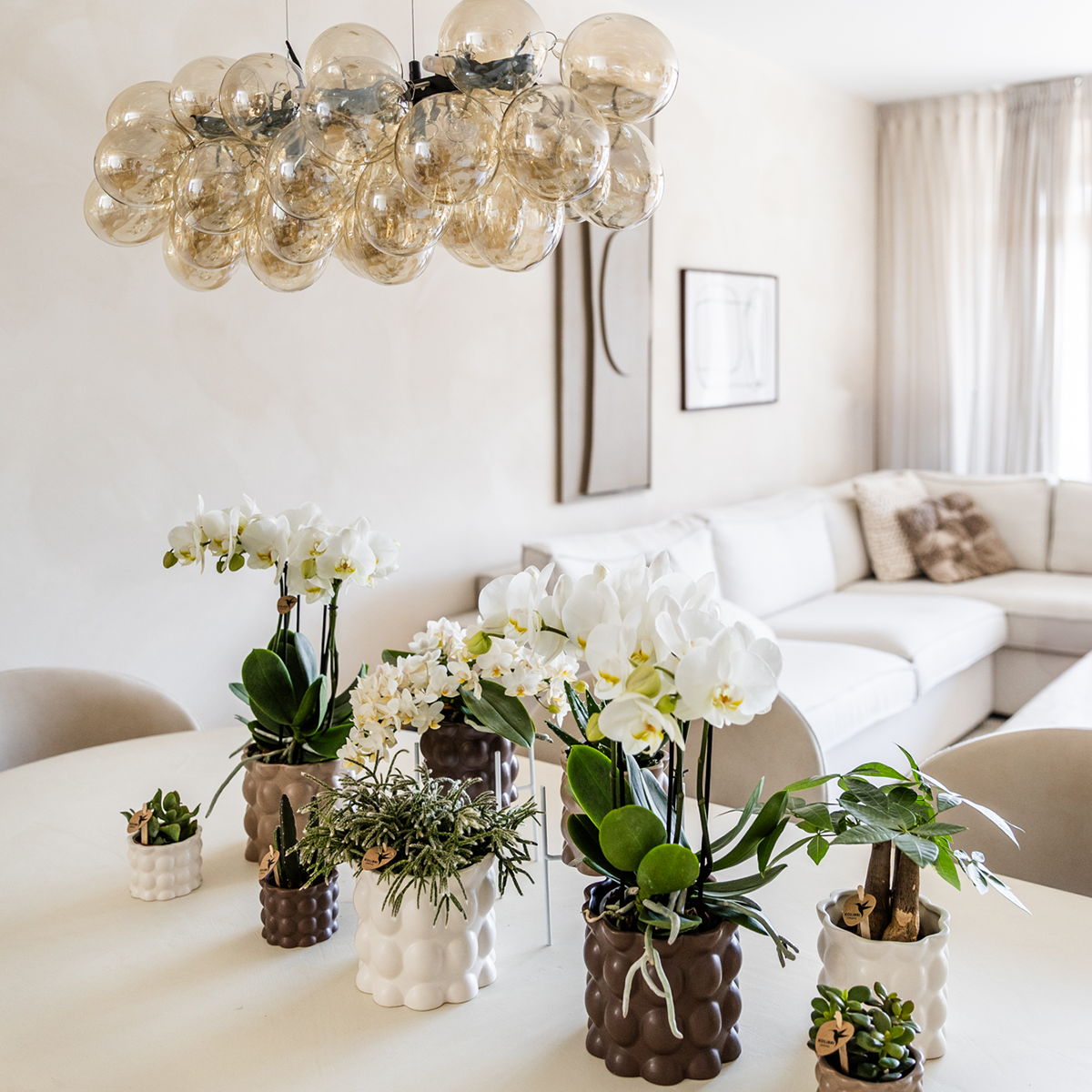 Kolibri Home | Dekorativer Baumwolltopf – Weiß – Ø 6 cm