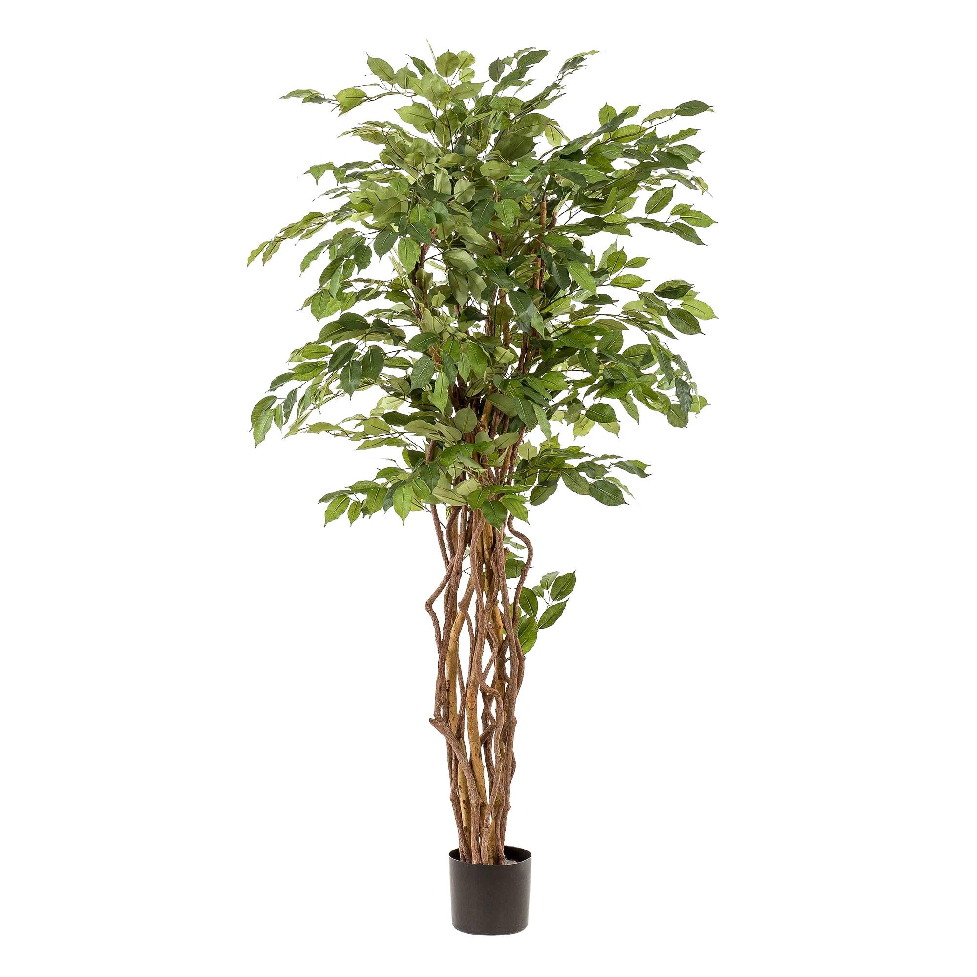 Künstliche Pflanze – Ficus-Liane (Geigenfeige) – 170 cm