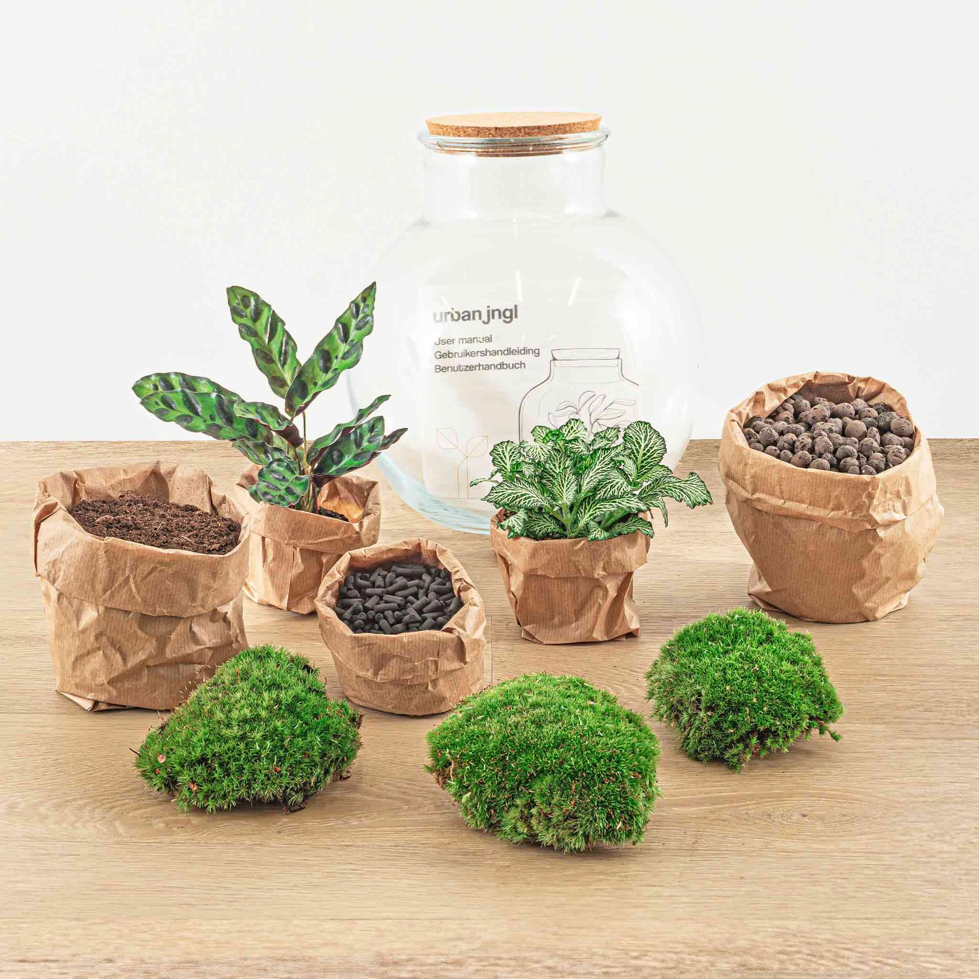 DIY-Terrarium – Teddy – ↕ 26,5 cm – Rechen + Schaufel + Pinzette