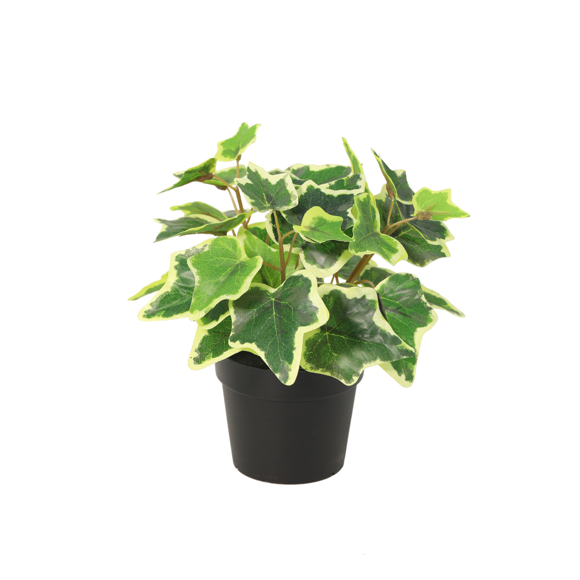 Kunstplant White Ivy - 19cm