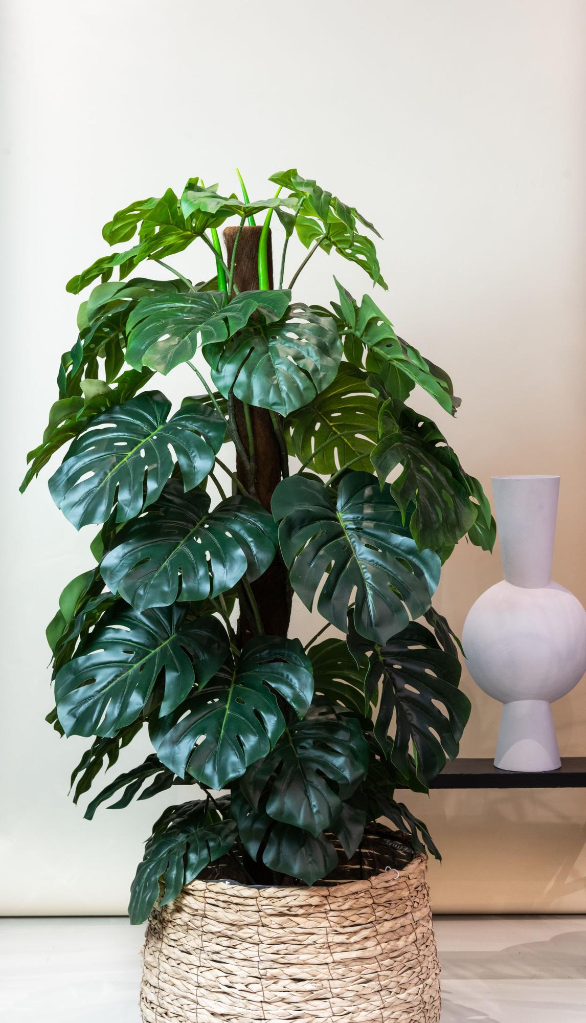 Monstera Deliciosa - pianta artificiale - 180 cm