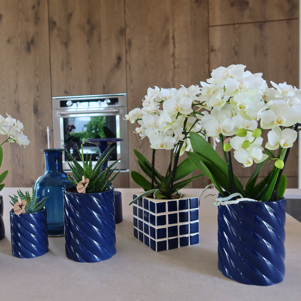 Kolibri Home | Vaso decorativo per caramelle | Alto - Blu - Ø6cm