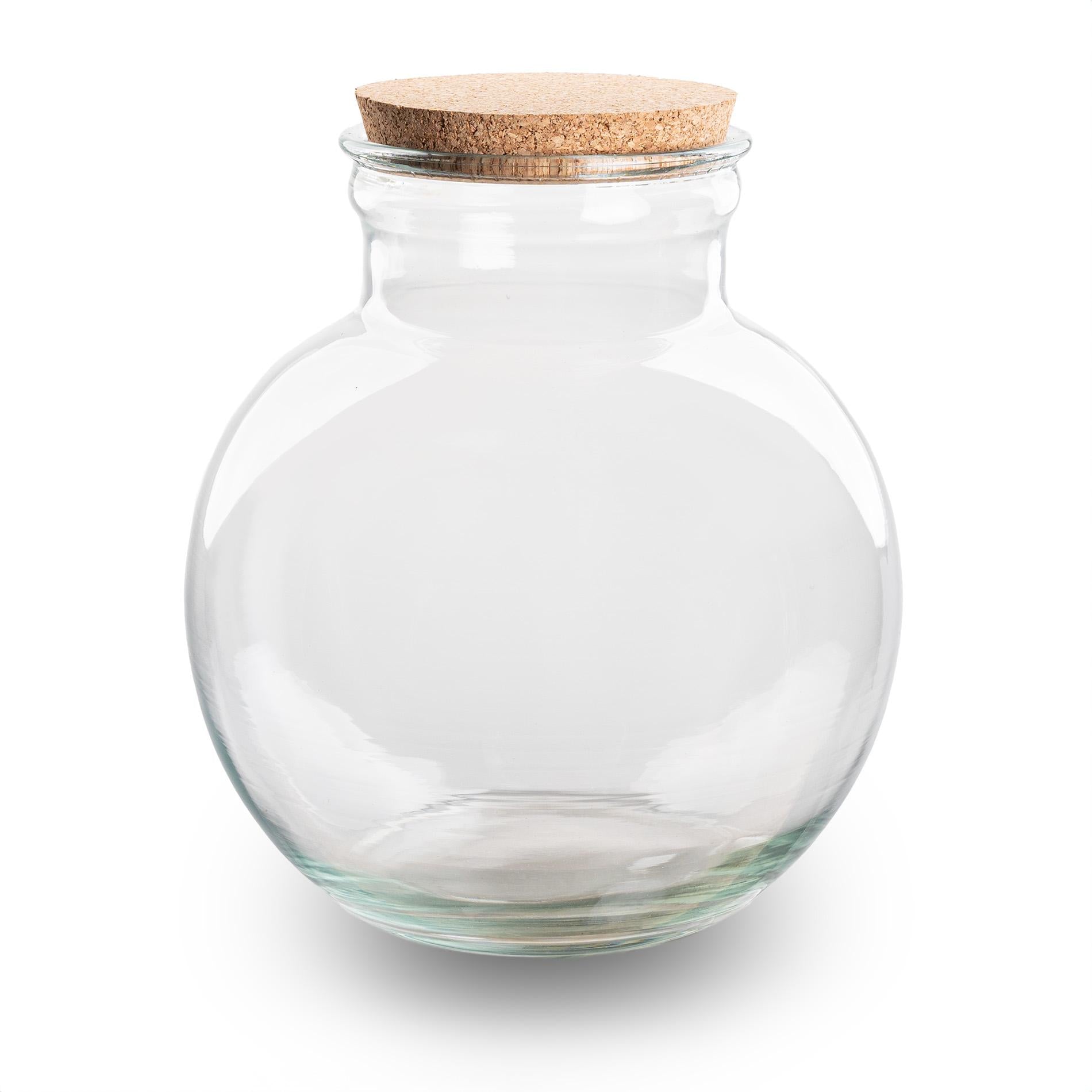 Terrarium bottle (with) lighting - Teddy - Ø 25 cm ↑ 26.5 cm - Without LED cork
