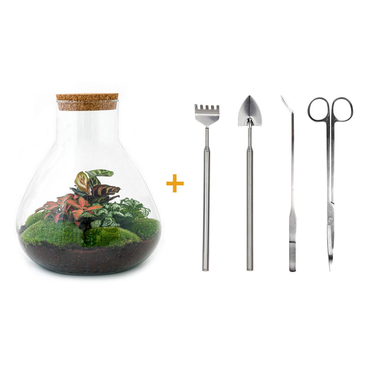 DIY-Terrarium – Sam XL Rot – ↕ 35 cm – Rechen + Schaufel + Pinzette + Schere