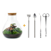 DIY-Terrarium – Sam XL Rot – ↕ 35 cm – Rechen + Schaufel + Pinzette + Schere