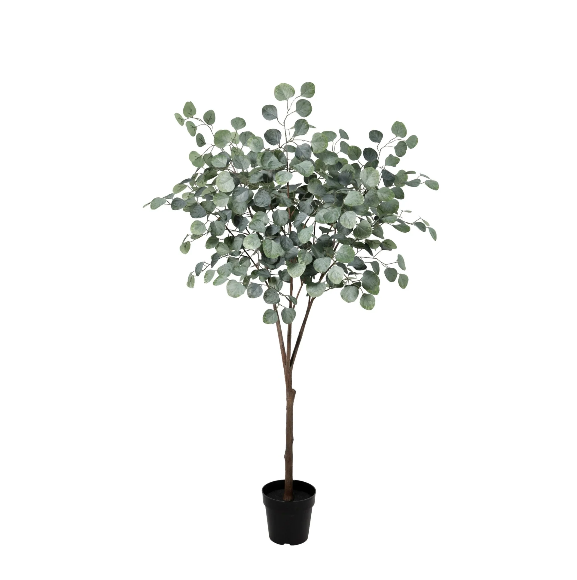 Kunstplant - Eucalyptus boom - 150cm