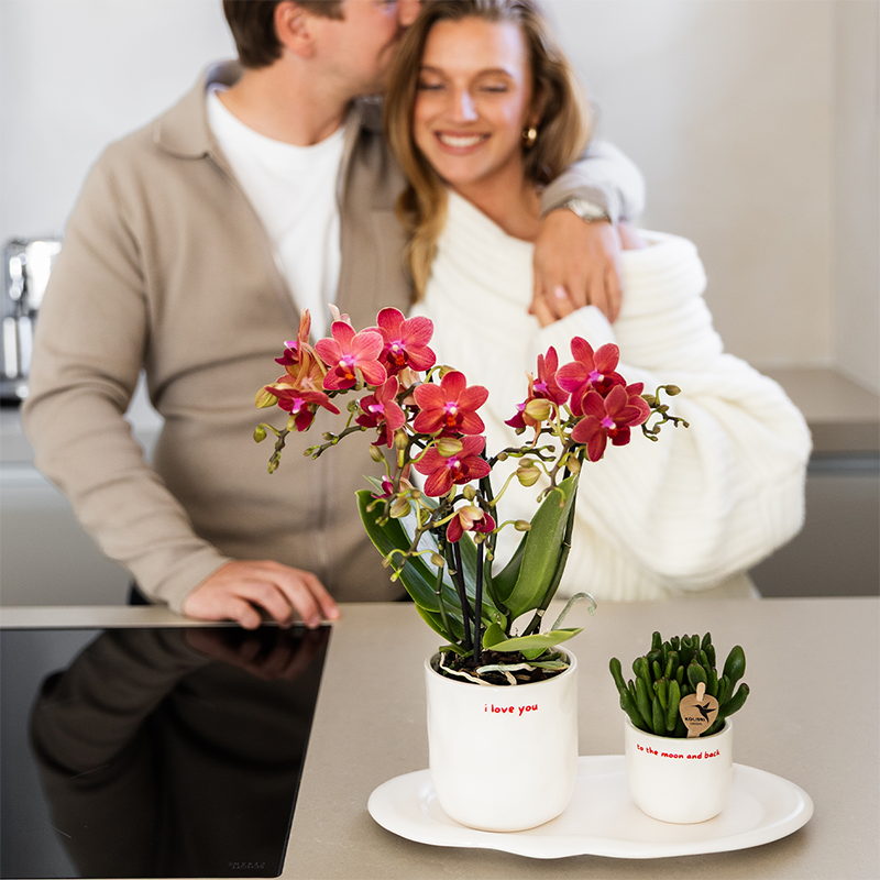 Kolibri Home | Vaso decorativo I love you - Ø9cm