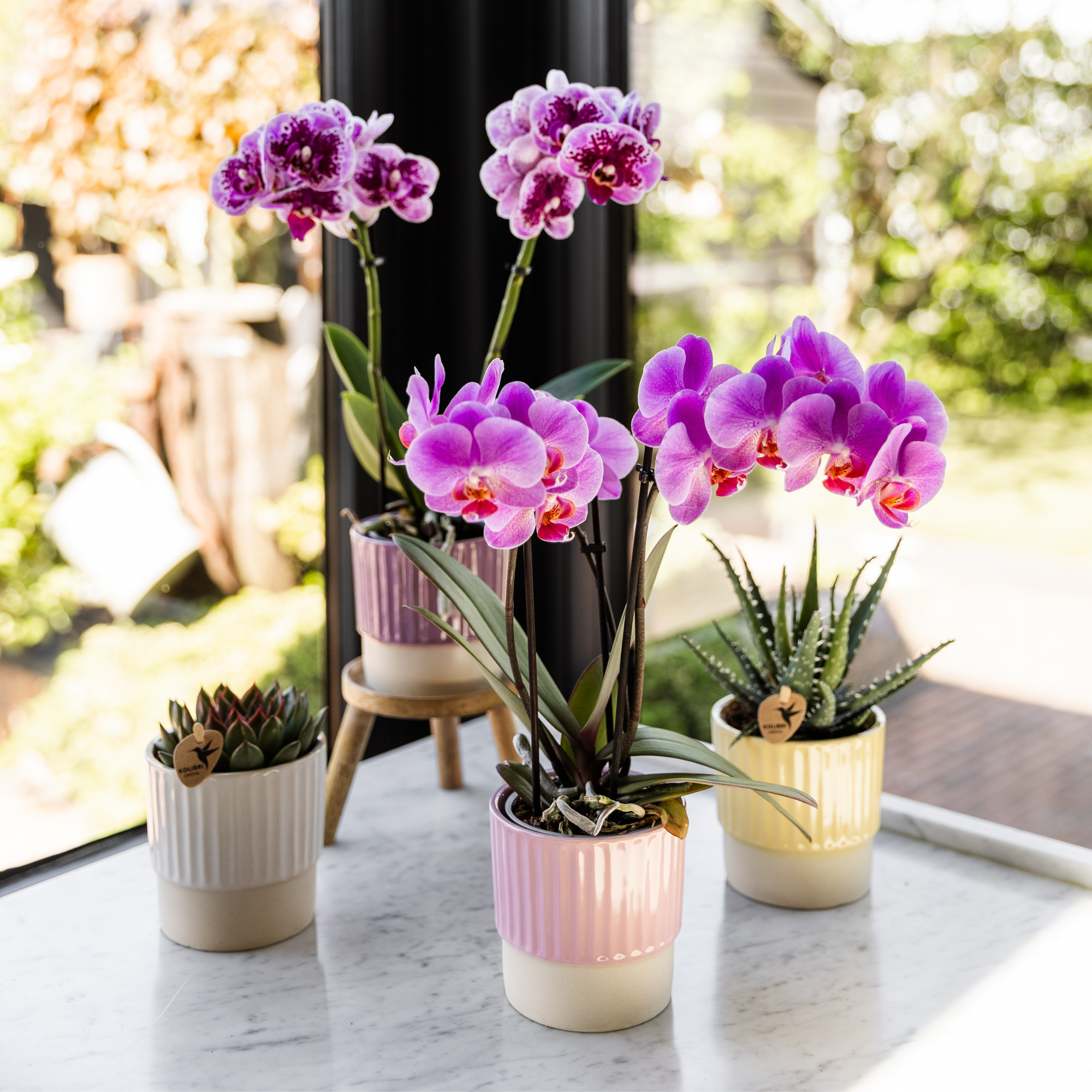 Kolibri Home | Mantequera decorativa - Amarilla