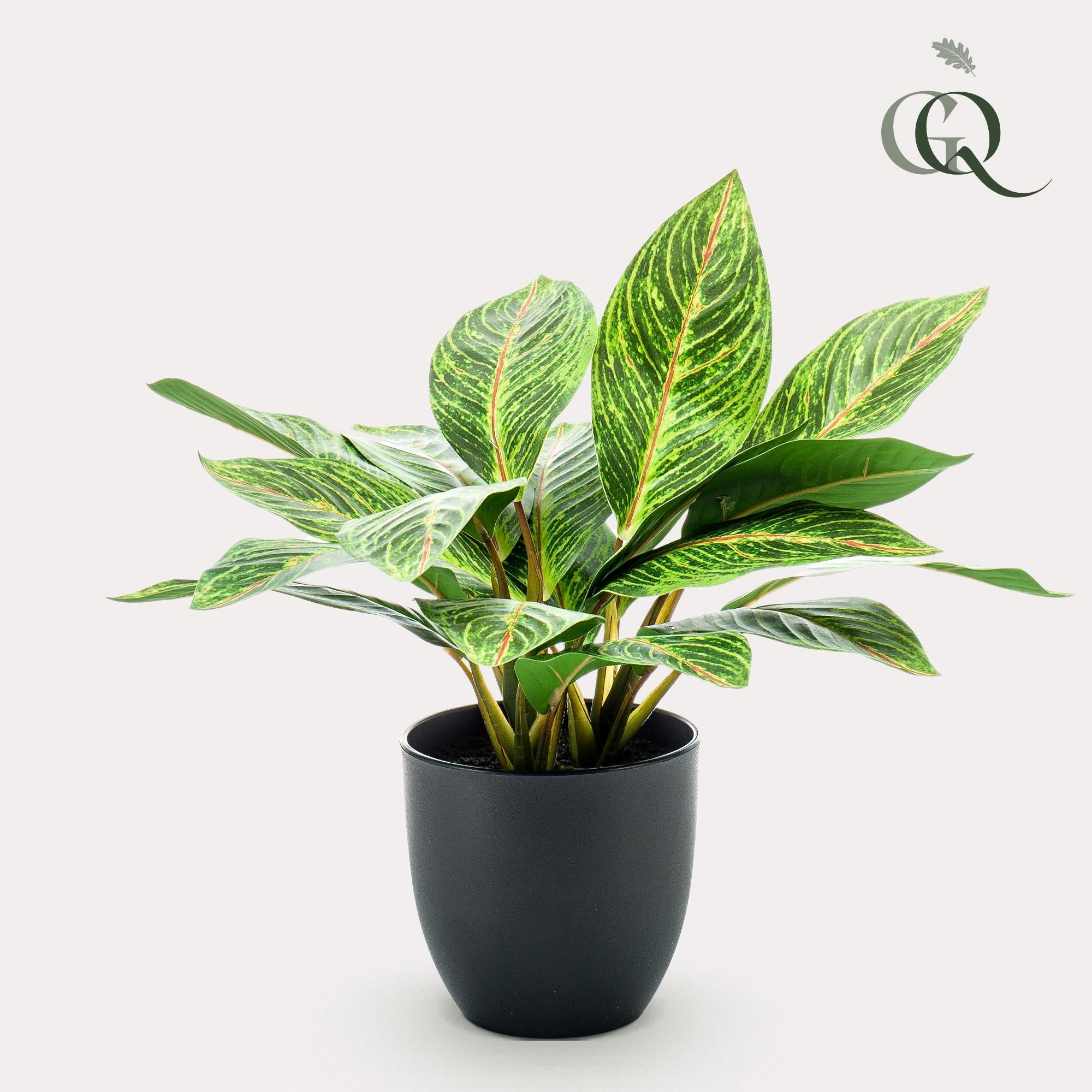 Pianta artificiale - Croton Codiaeum - Arbusto meraviglioso - 38 cm