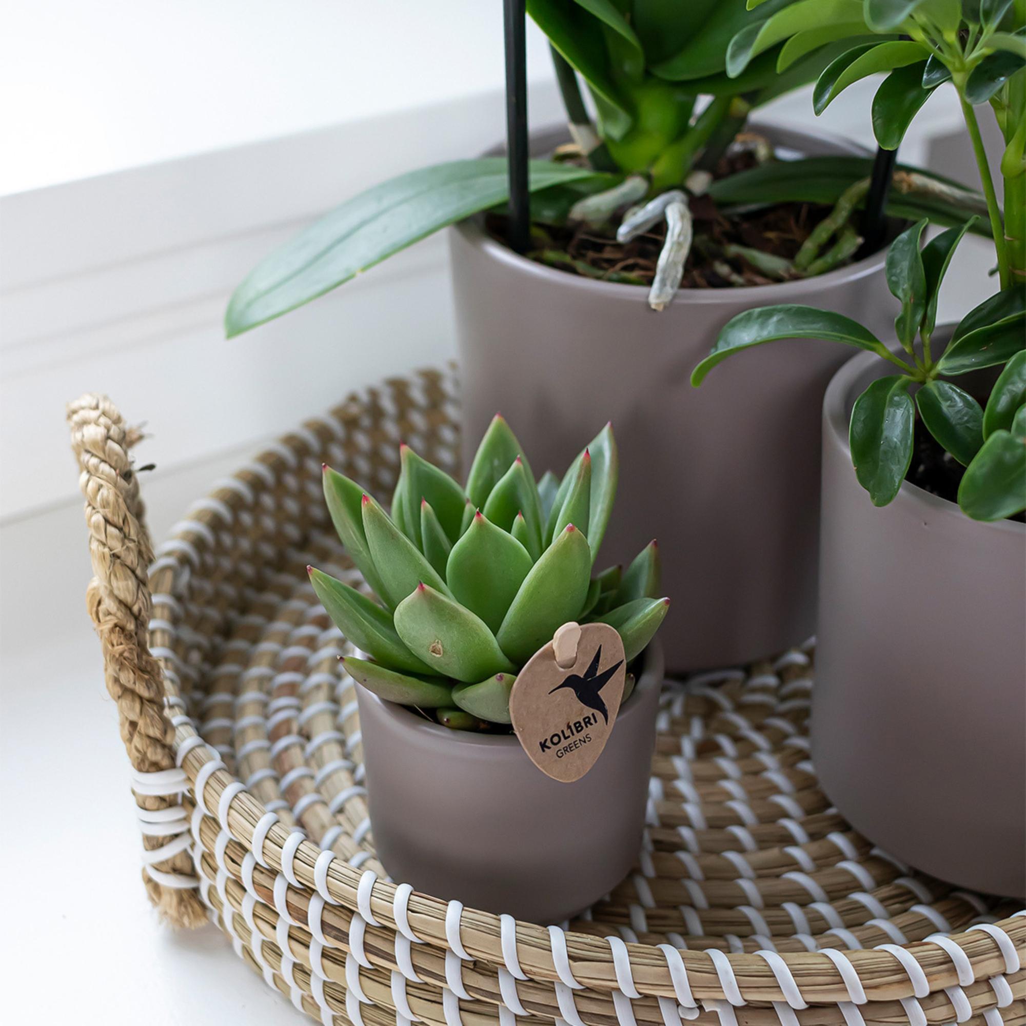 Kolibri Home | Decorative bowl - White woven tray Ø30cm