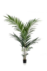Pianta artificiale - Kentia - Palma Kentia - 150cm