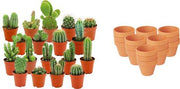 Mini Cactus Mix - 18 Stuks - Ø 8,1 cm - Hoogte: 5-10 cm - Terracotta Potten