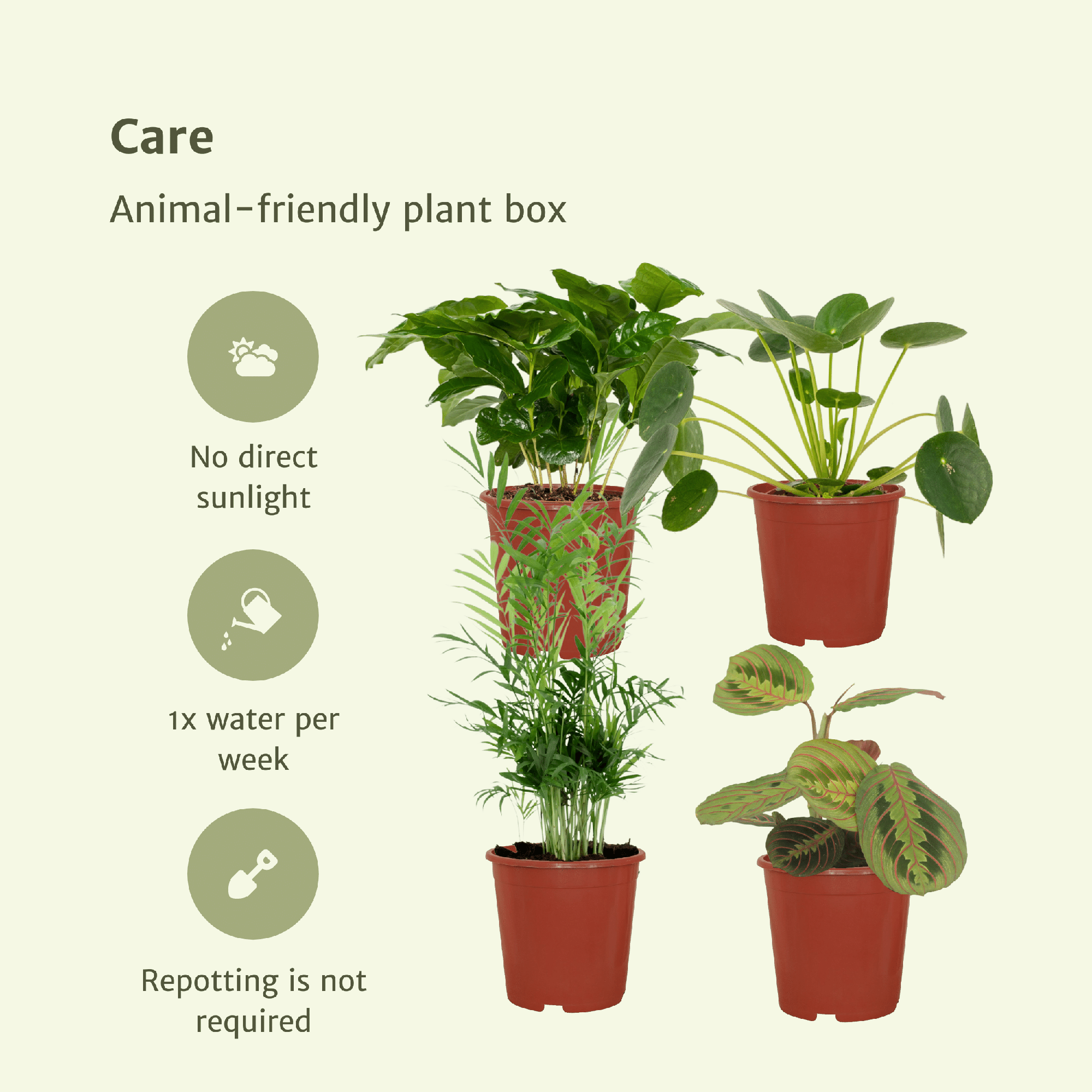 Tierfreundlicher Pflanzkasten – 4 Stück – Ø 12 cm – ↕ 20–40 cm