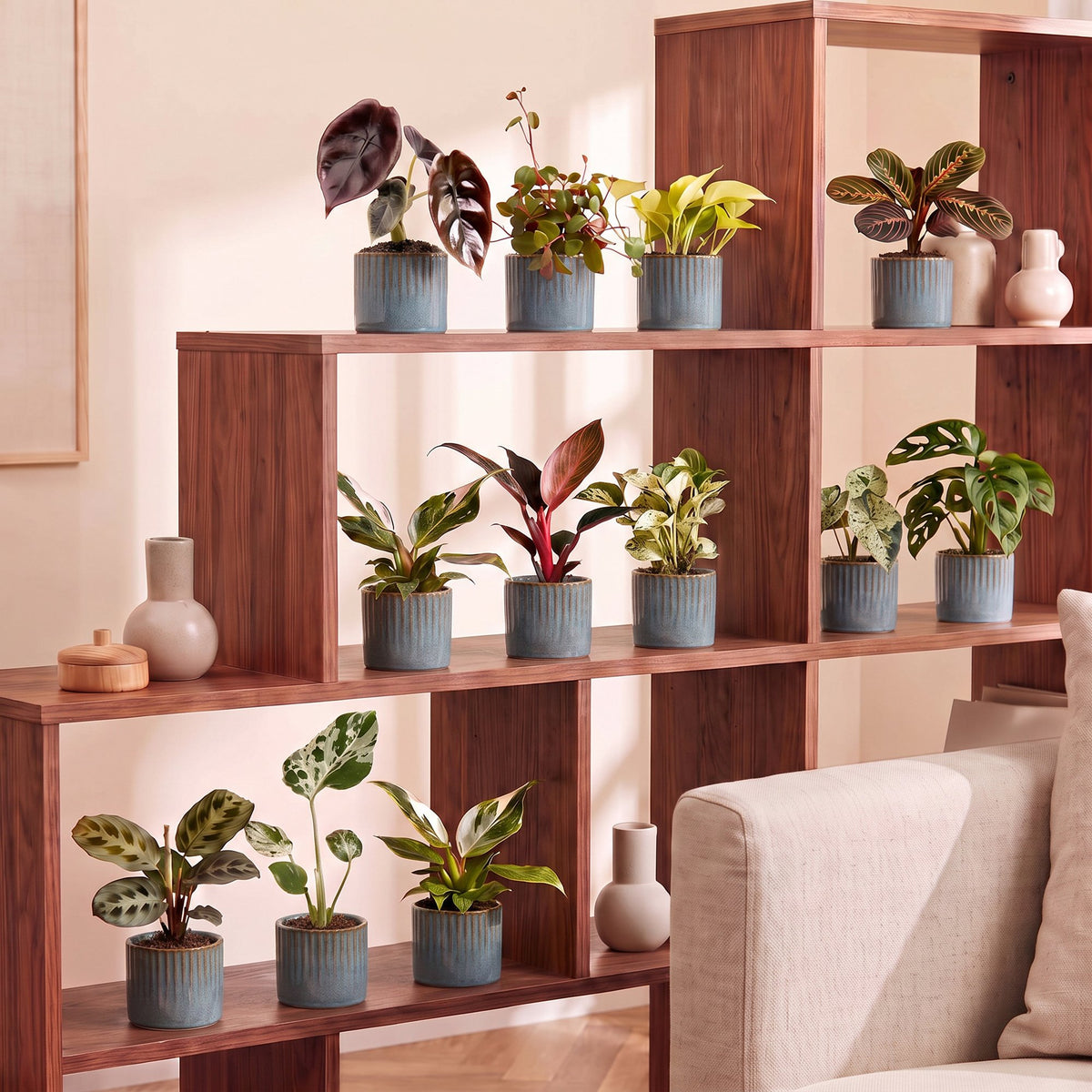 Baby Plants Surprise Box 12x - Verrassingsbox kleine planten - Diversen - Tropisch - incl. Linnea Misty Blue - Ø6cm - ↕5-15cm