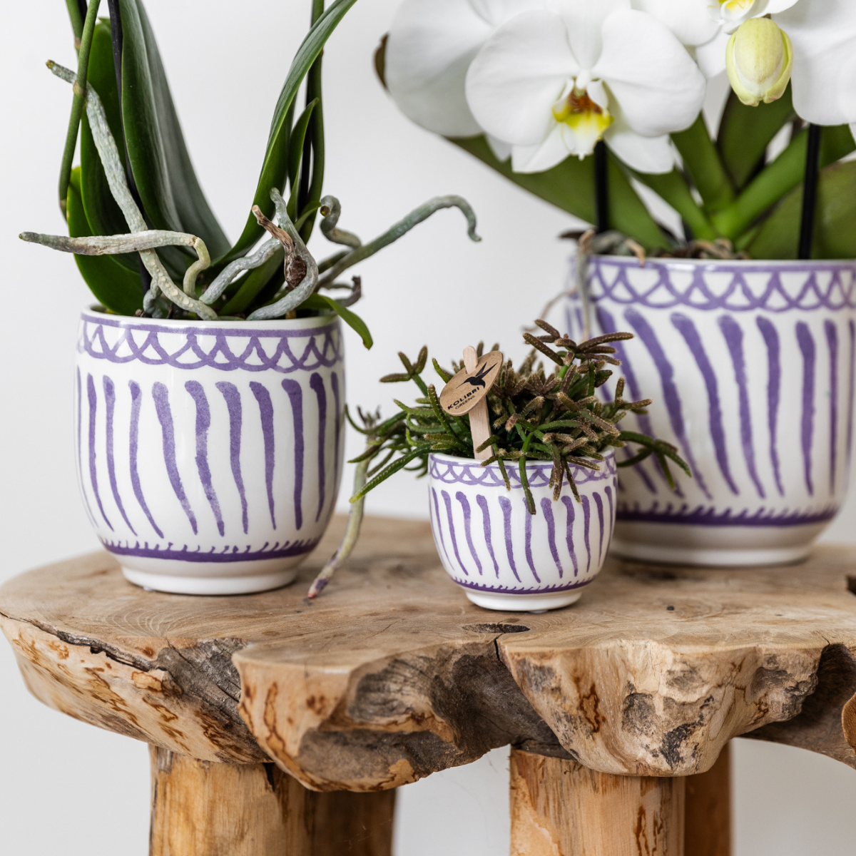 Kolibri Home | Granada - Lilla - Ø6cm