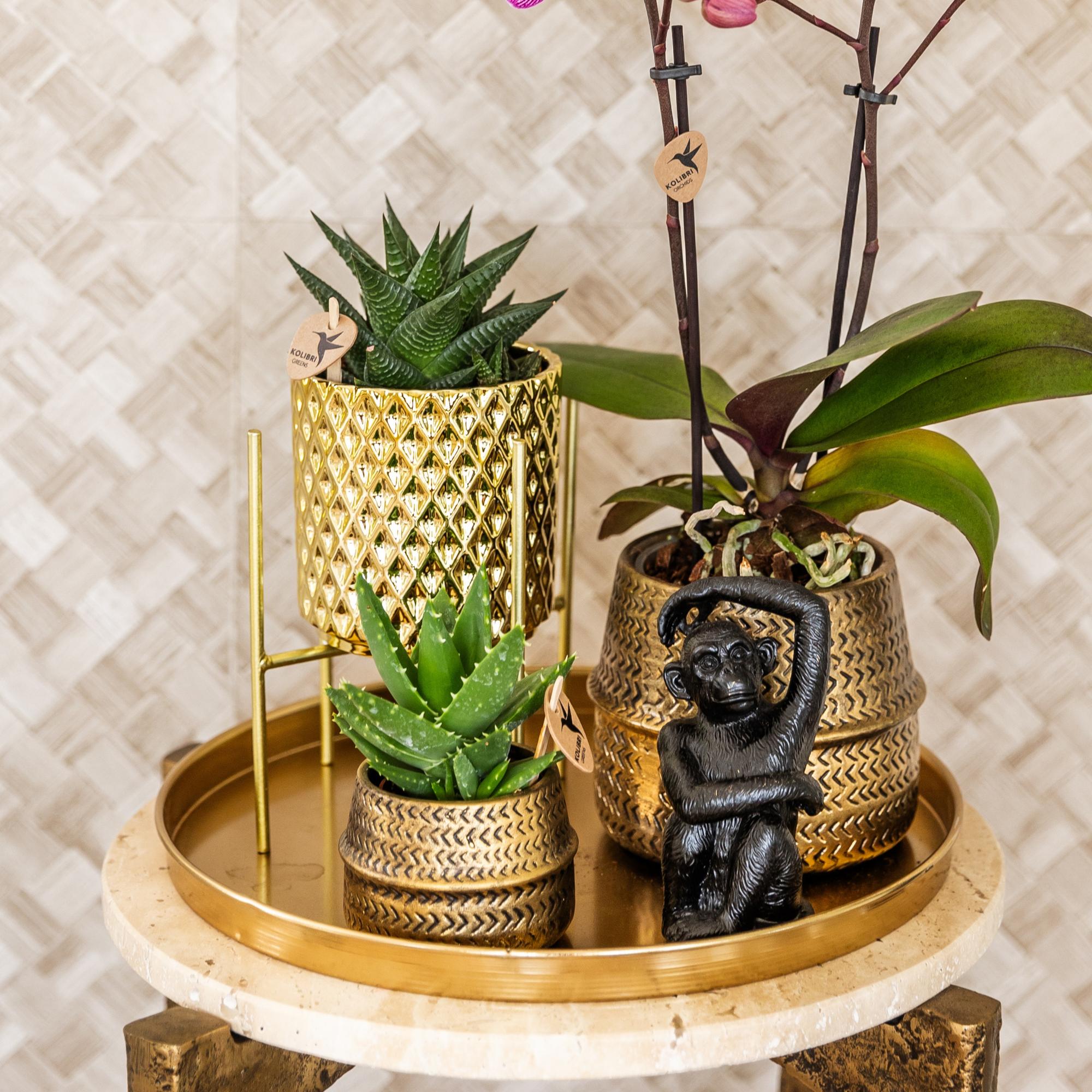 Kolibri Home | Plateau décoratif - Plateau rond doré Ø30cm