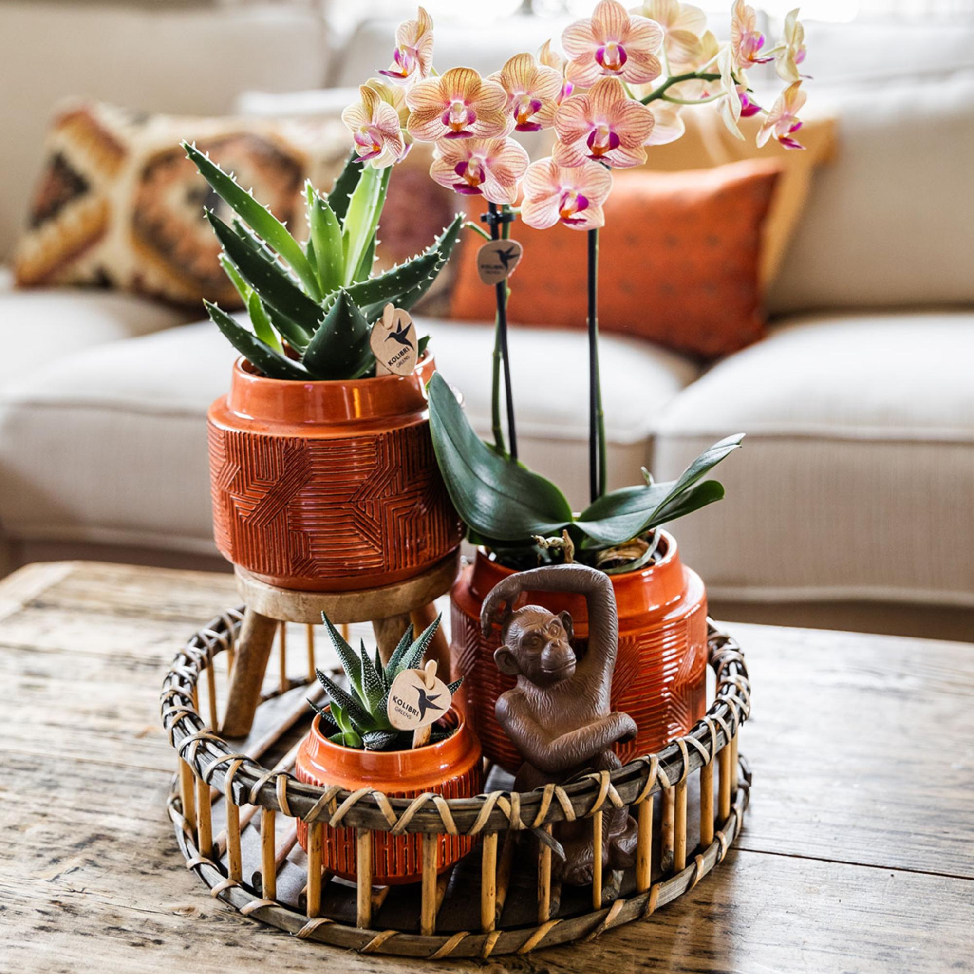 Kolibri Home | Dekorative Schale – Rundes Weidenholztablett Ø 30 cm