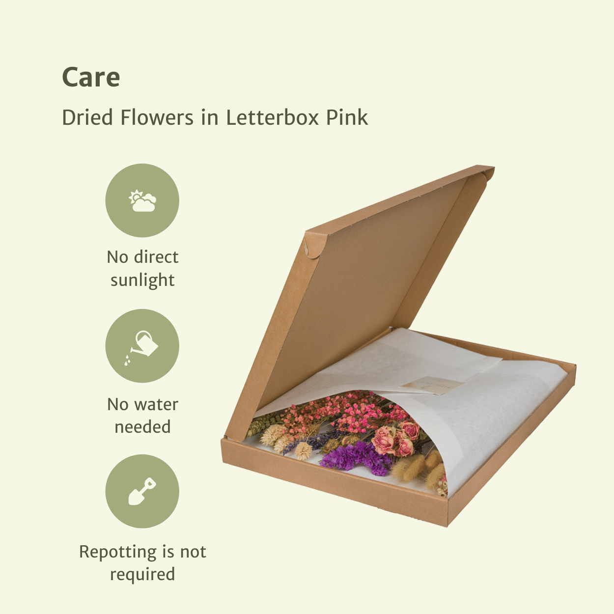 Getrocknete Blumen im Briefkasten – Rosa