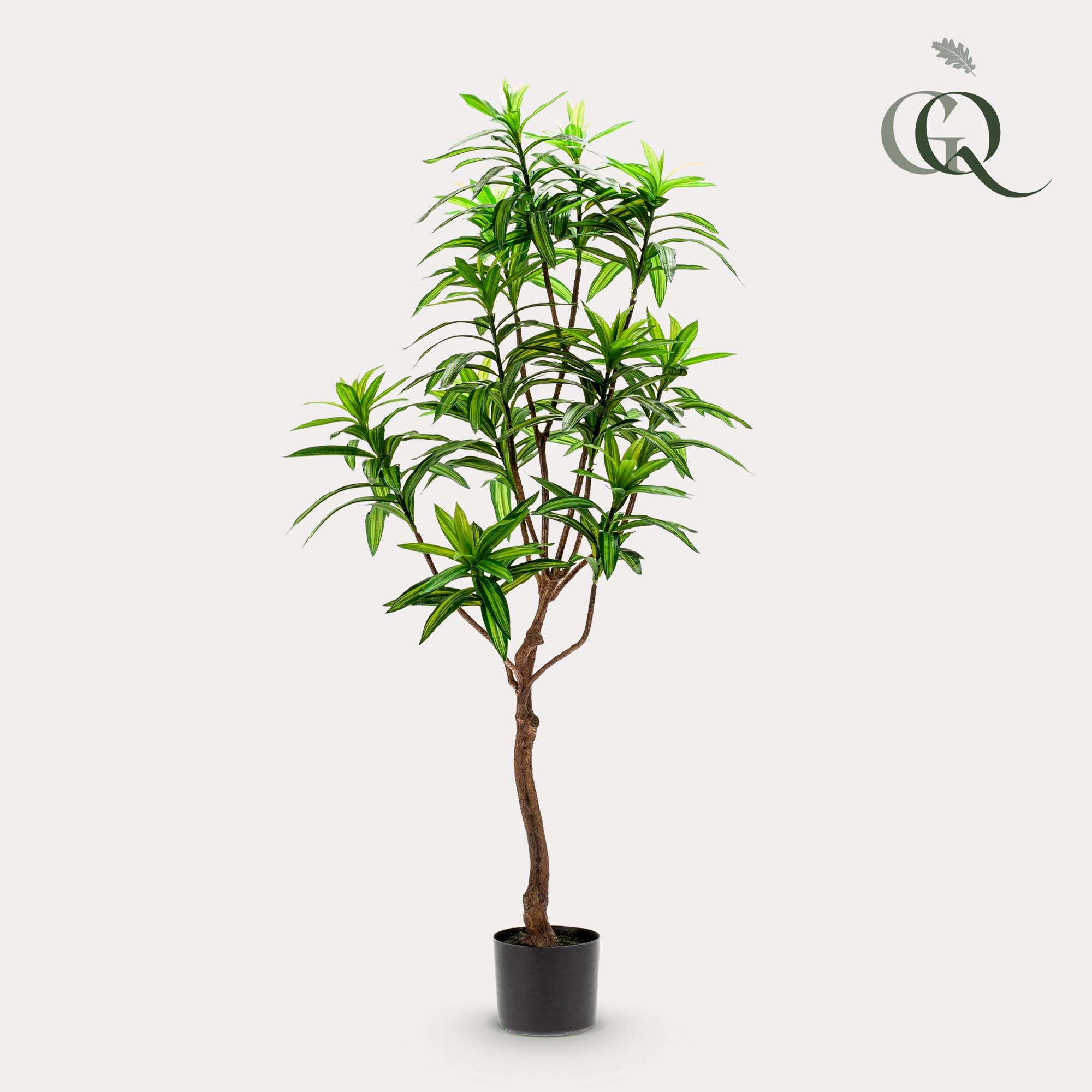 Pianta artificiale - Dracaena - Albero del drago - 130 cm