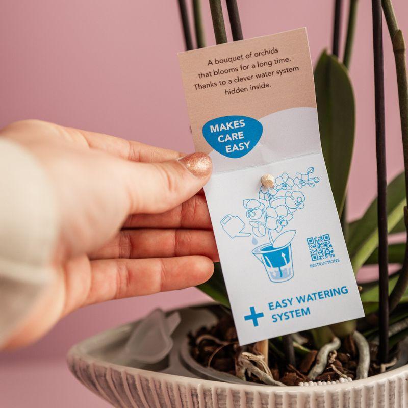 Kolibri Home | Como sierpot incl. watergeefsysteem - Ø12cm