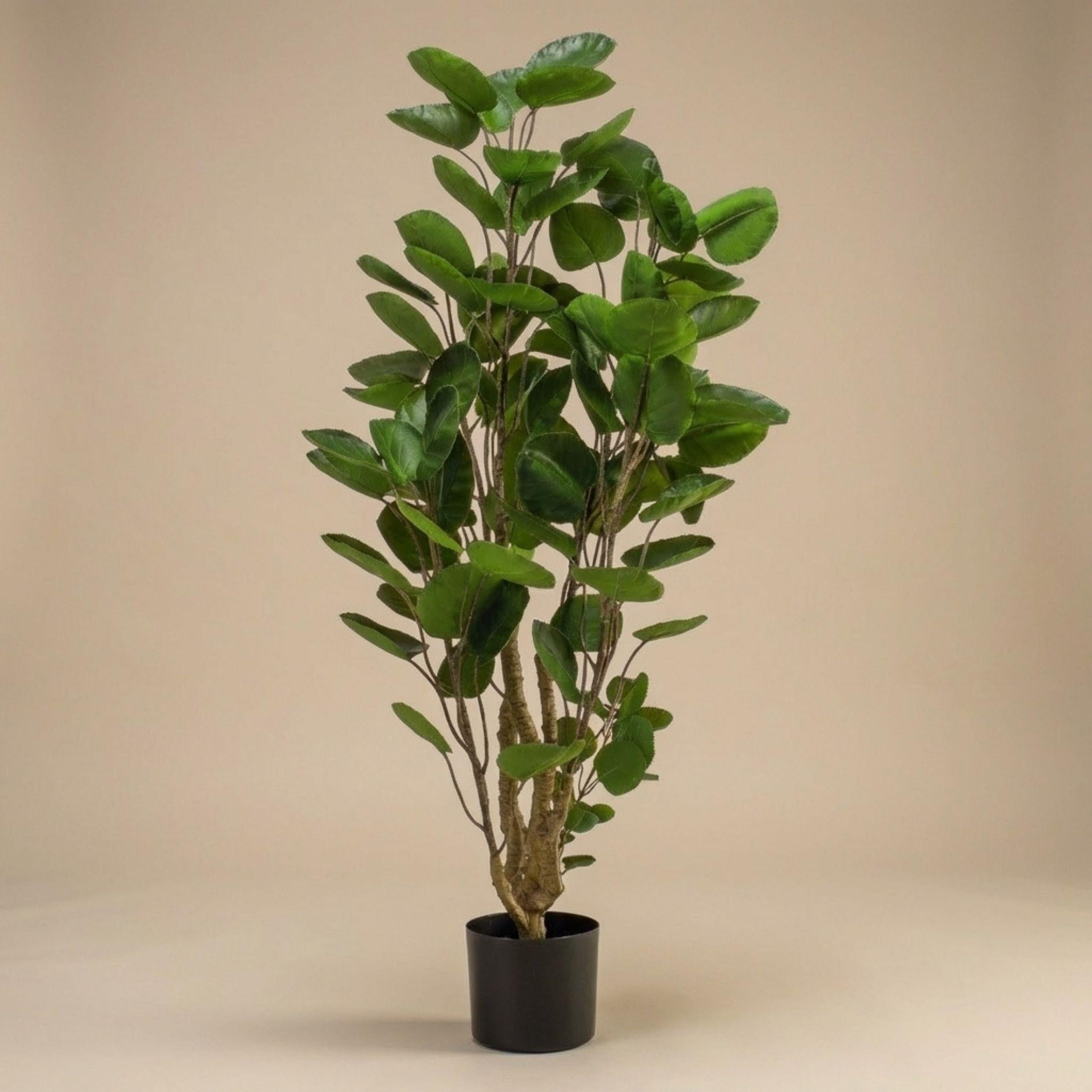 Polyscias-Baum - 105 cm - Künstliche Pflanze