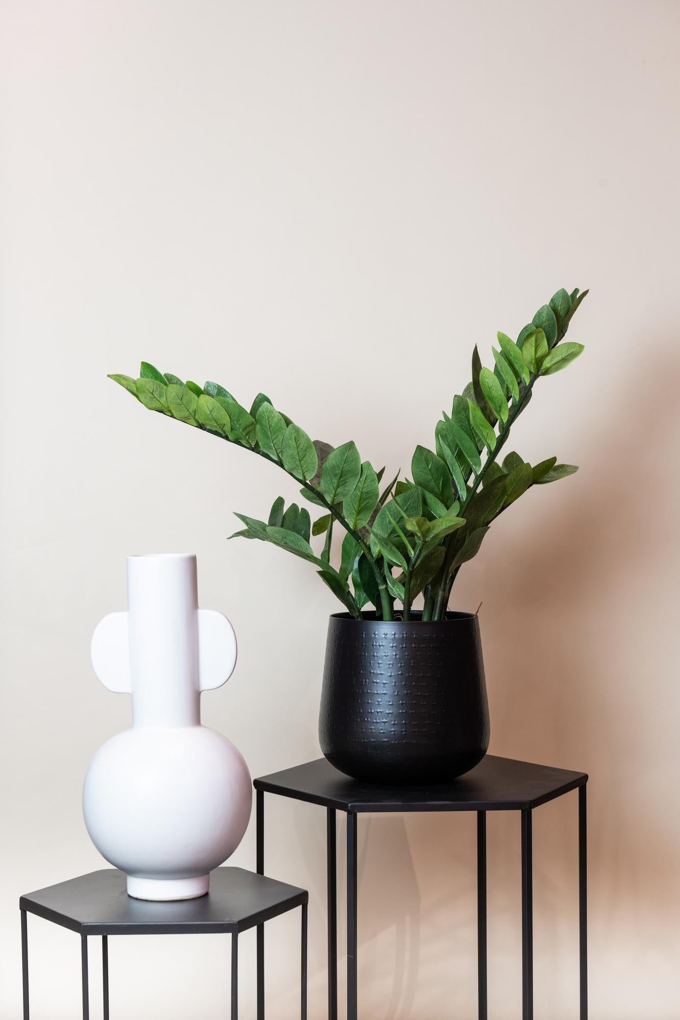 Artificial plant - Zamioculcas - Indoor palm - 70 cm