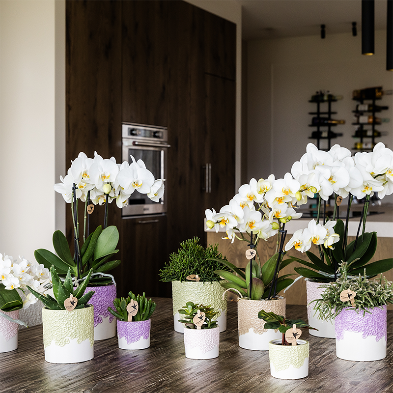 Kolibri Home | Bloom sierpot - Sand - Ø9cm