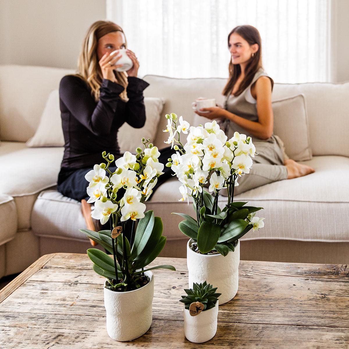 Kolibri Home | Rustikaler Dekotopf – Weiß – Ø 12 cm