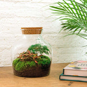 DIY-Terrarium – Little Joe – ↕ 21,5 cm – Rechen + Schaufel