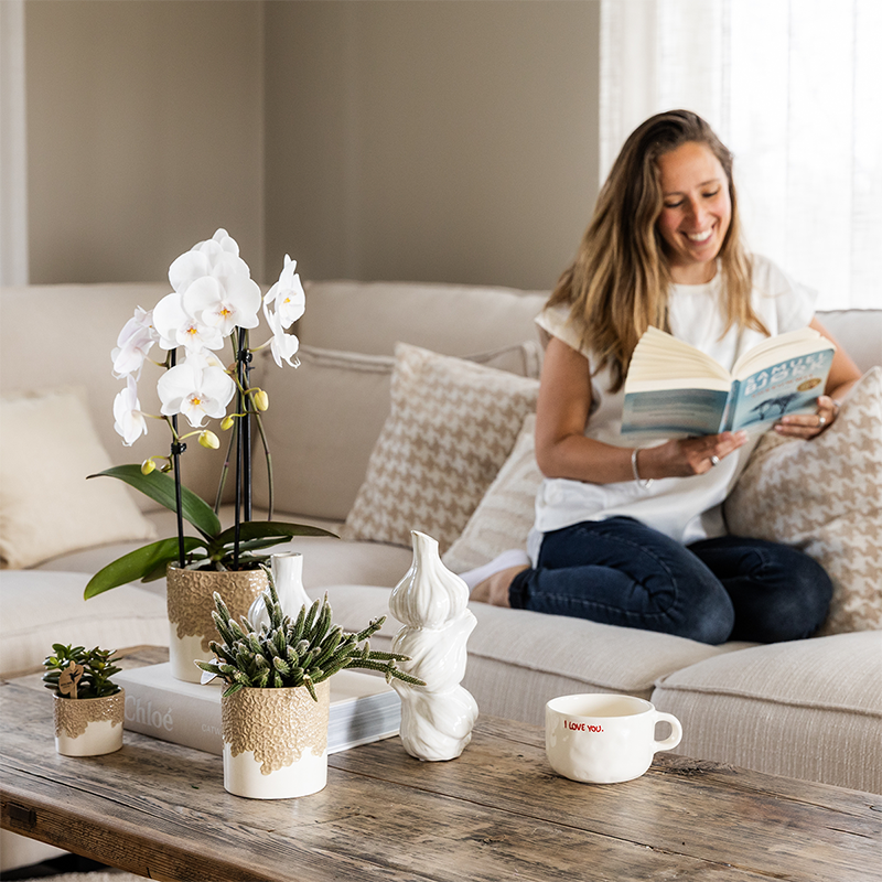 Kolibri Company | Combi deal | Bloom sierpot zand – set 6 cm + 9 cm + 12 cm