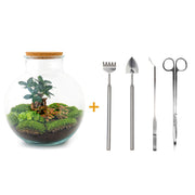 DIY-Terrarium – Bolder Bob Bonsai – ↕ 30 cm – Rechen + Schaufel + Pinzette + Schere