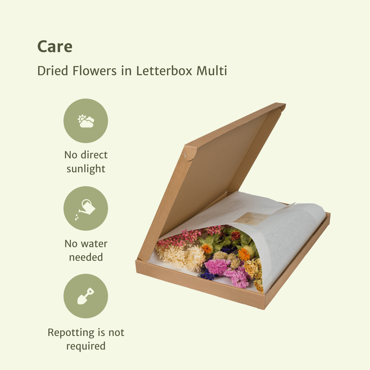 Dried flowers in Letterbox - Multi