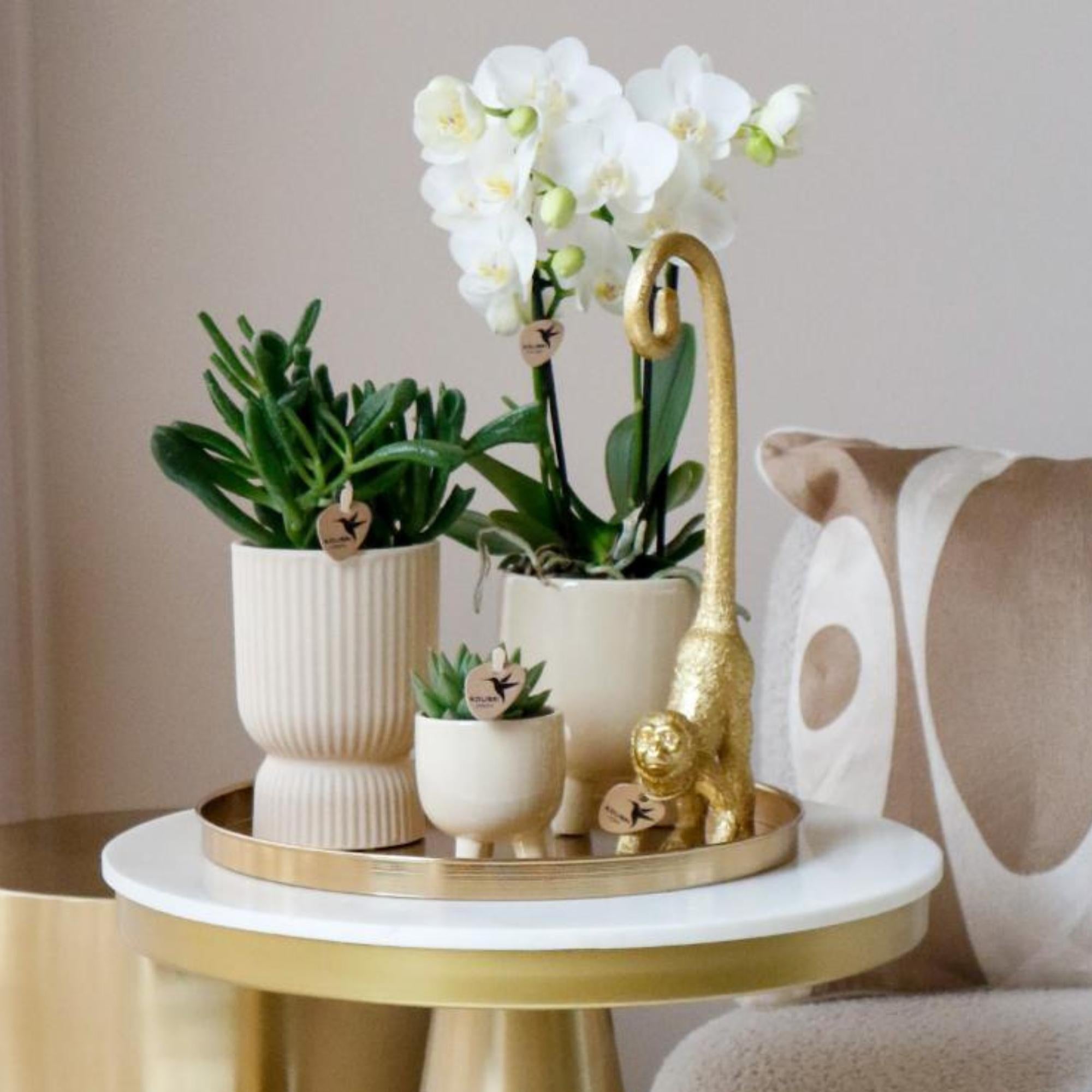 Kolibri Home | Plateau décoratif - Plateau rond doré Ø30cm