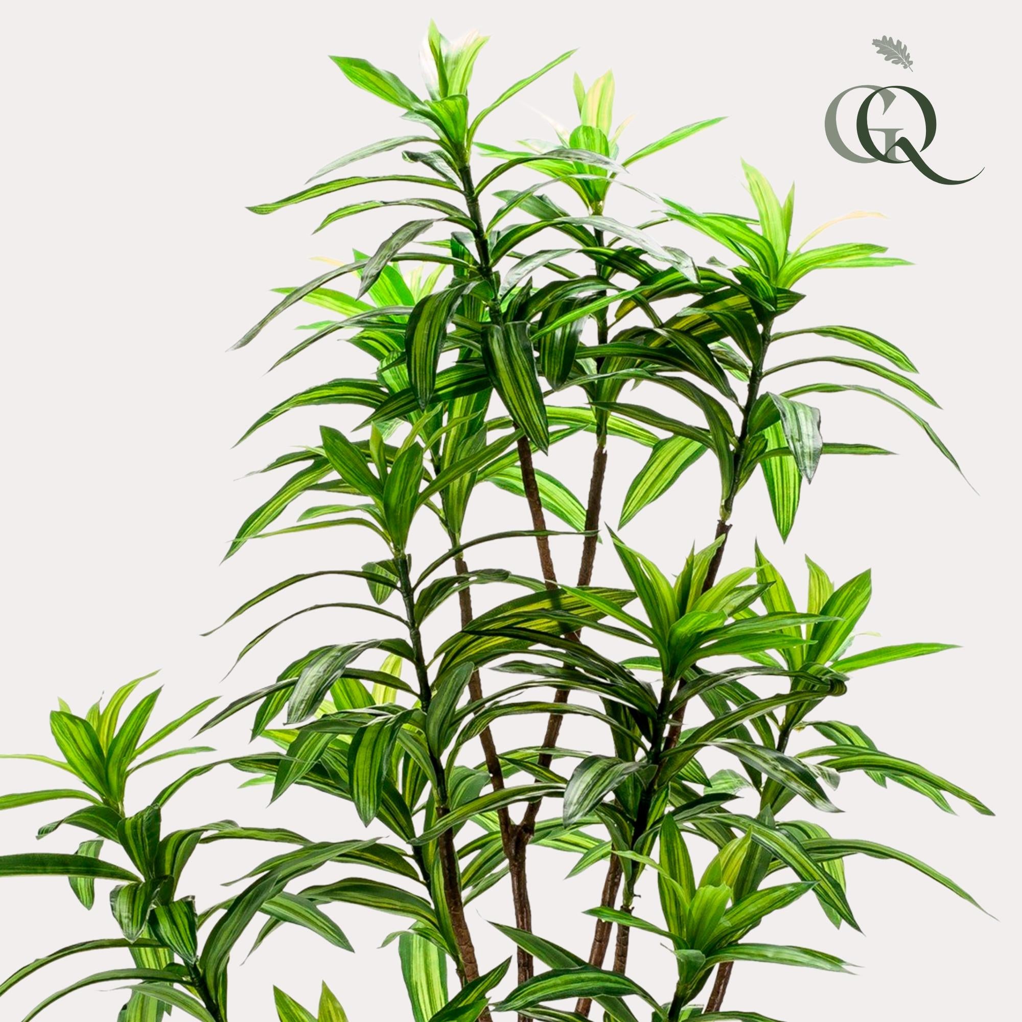 Pianta artificiale - Dracaena - Albero del drago - 130 cm