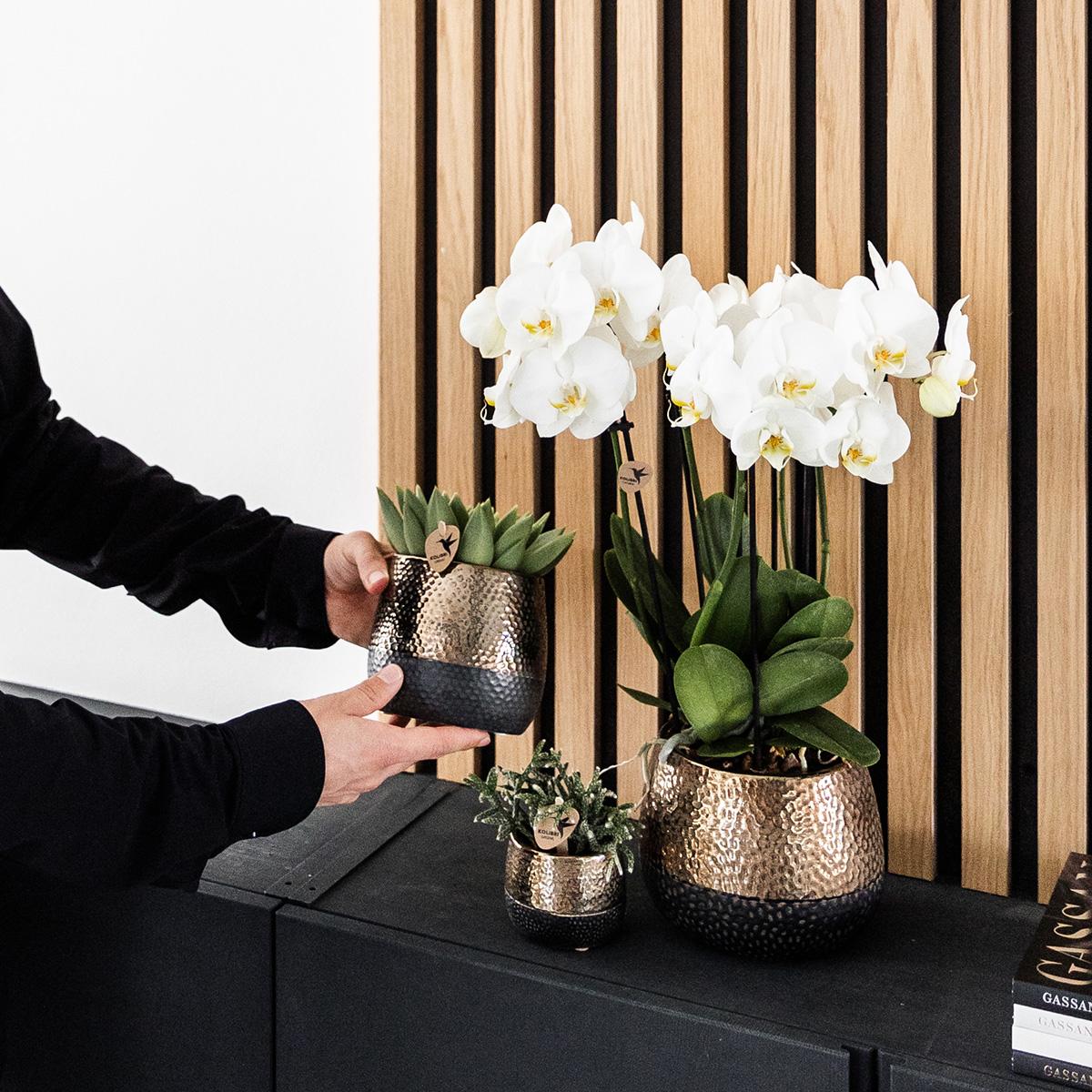 Kolibri Home | Pentola Elite in rame - Ø6cm