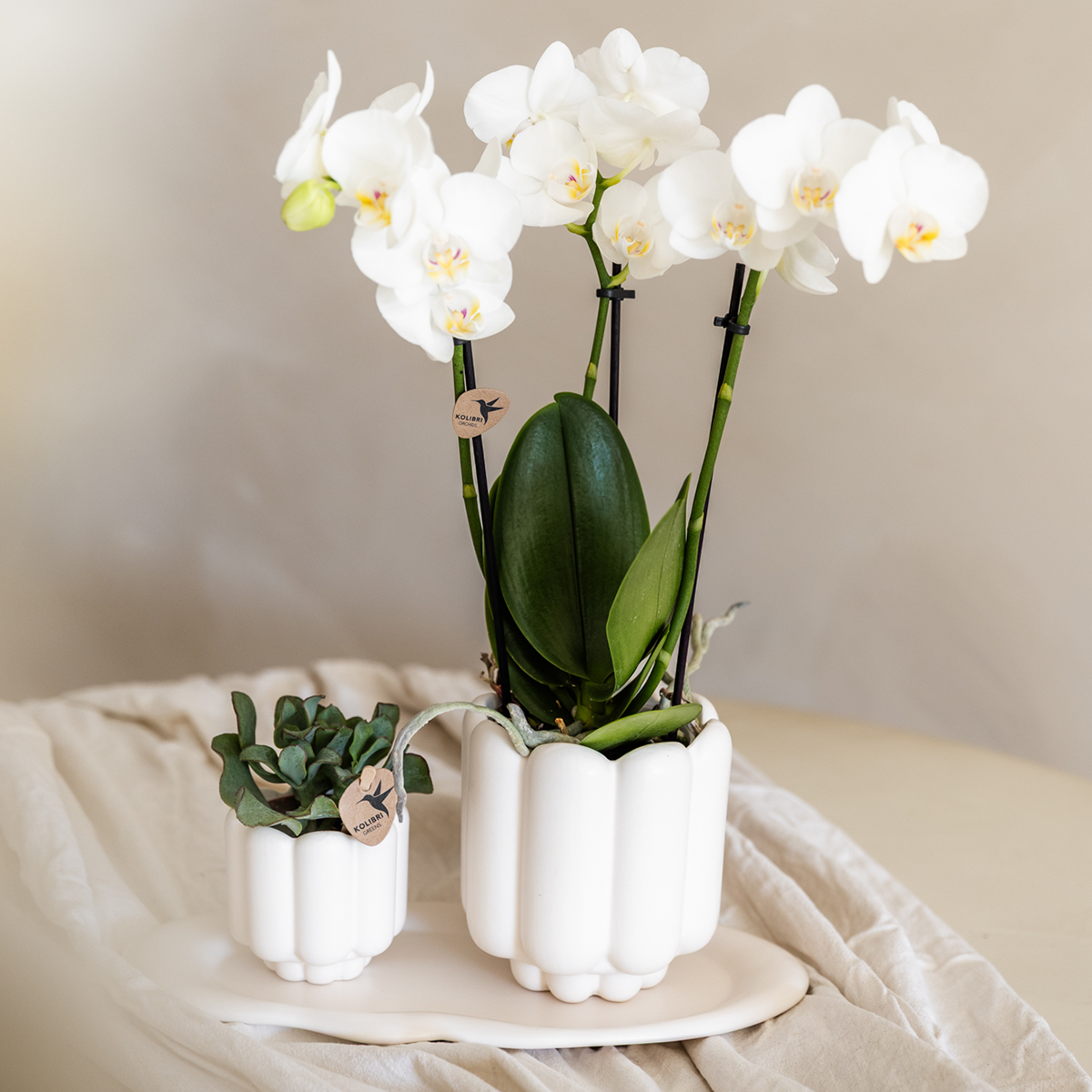 Kolibri Home | Dekorativer Retro-Übertopf – Weiß – Ø 9 cm