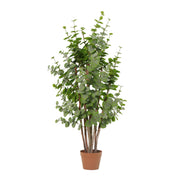 Kunstplant Eucalyptus green - 120cm