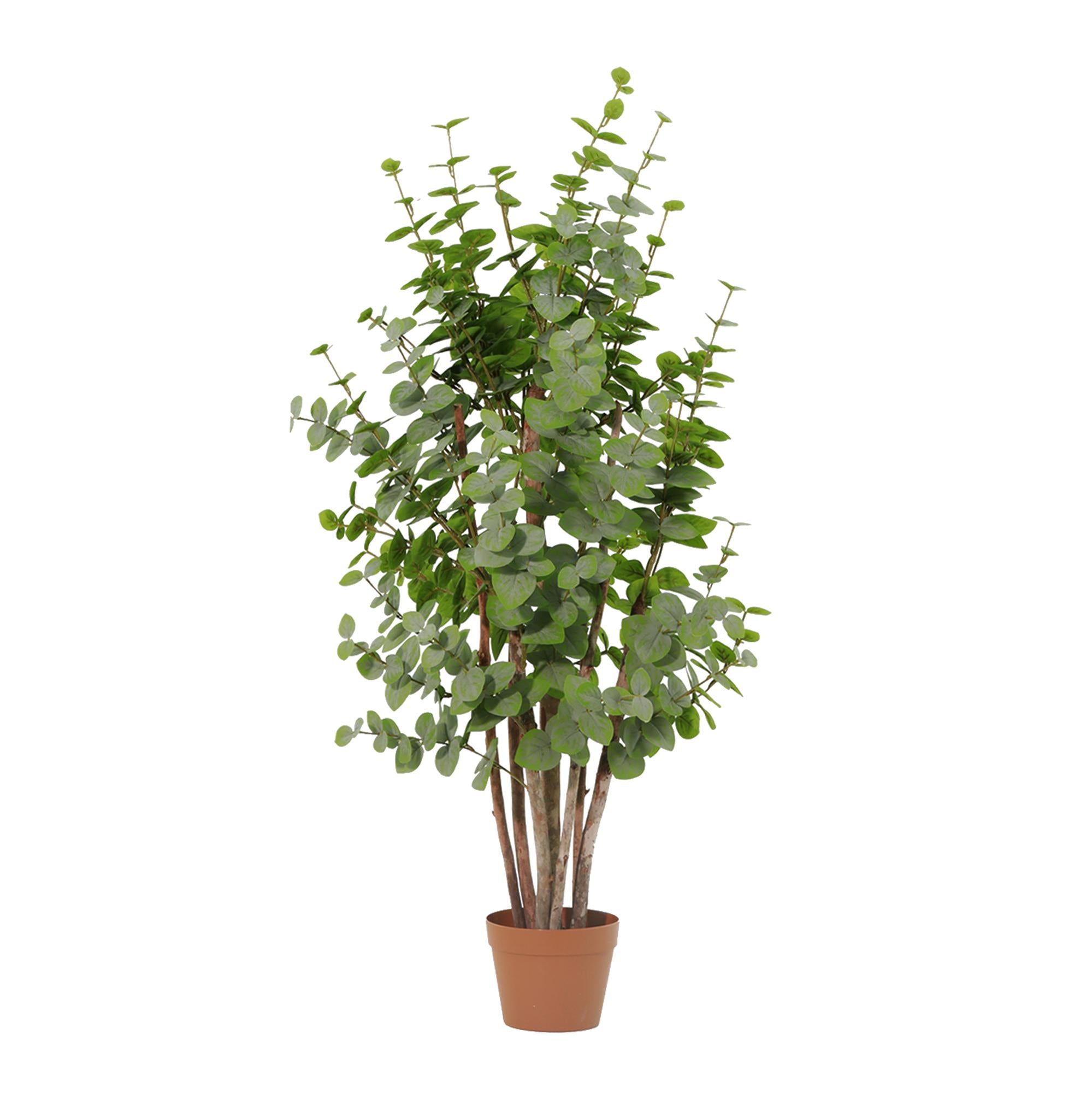 Kunstplant Eucalyptus green - 120cm