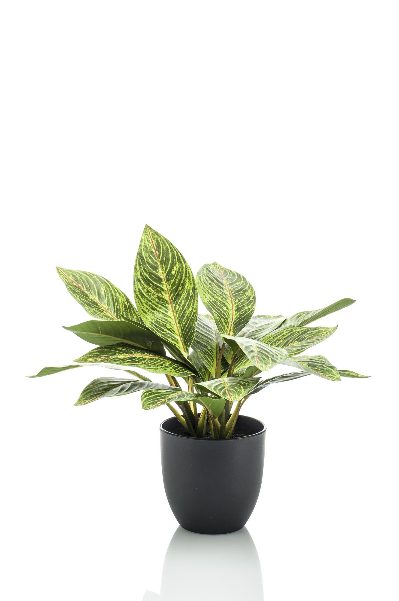 Pianta artificiale - Croton Codiaeum - Arbusto meraviglioso - 38 cm