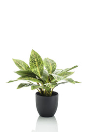 Pianta artificiale - Croton Codiaeum - Arbusto meraviglioso - 38 cm