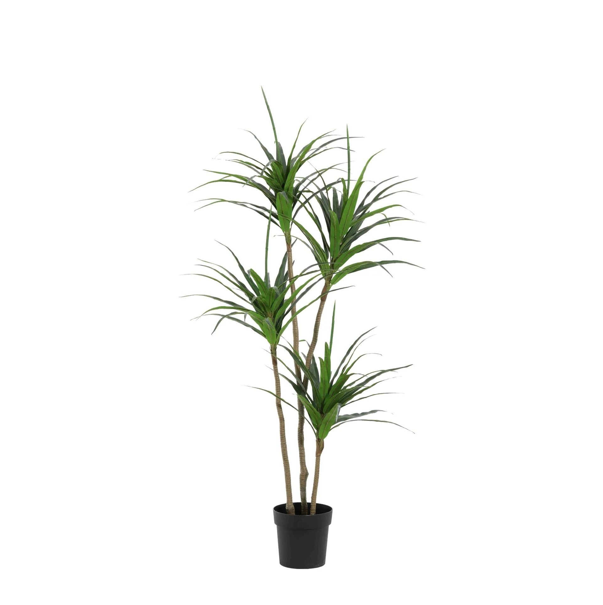 Kunstplant - Dracaena - 165cm
