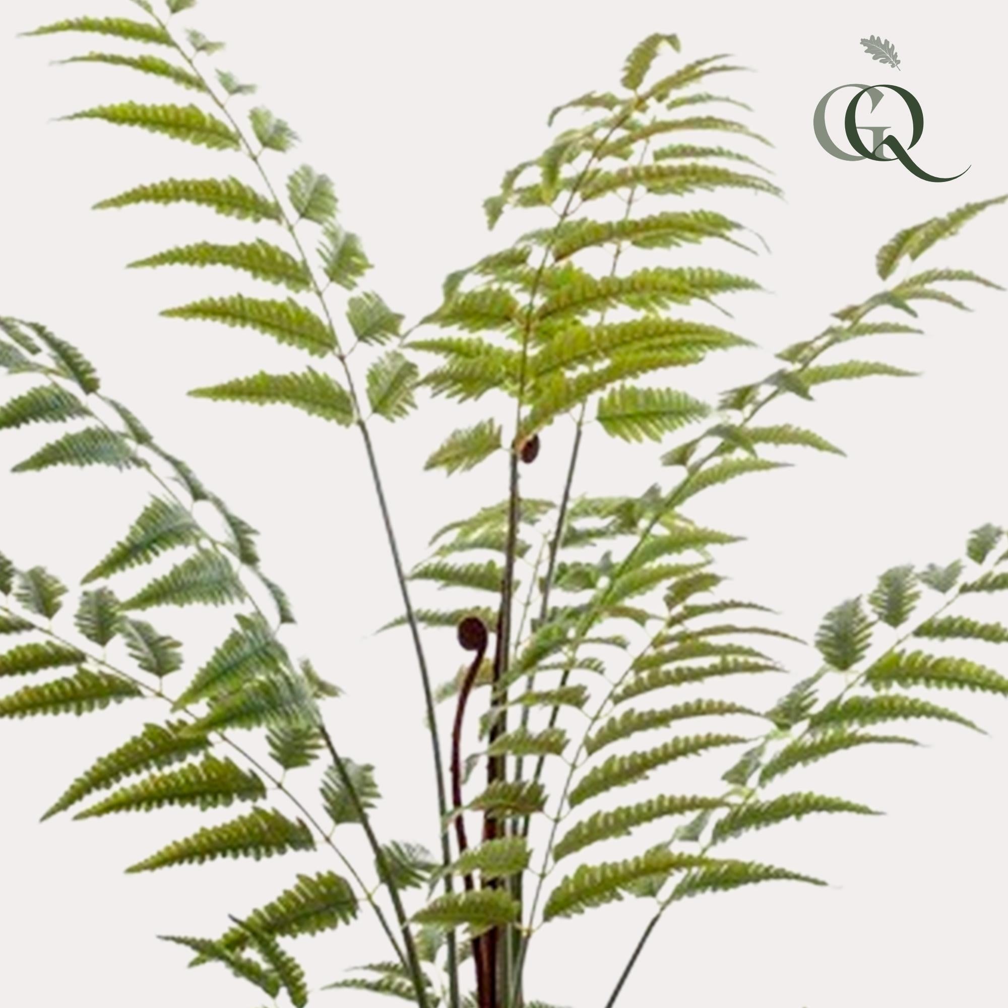 Künstliche Pflanze - Rumohra Adiantiformis - Lederfarn - 150 cm