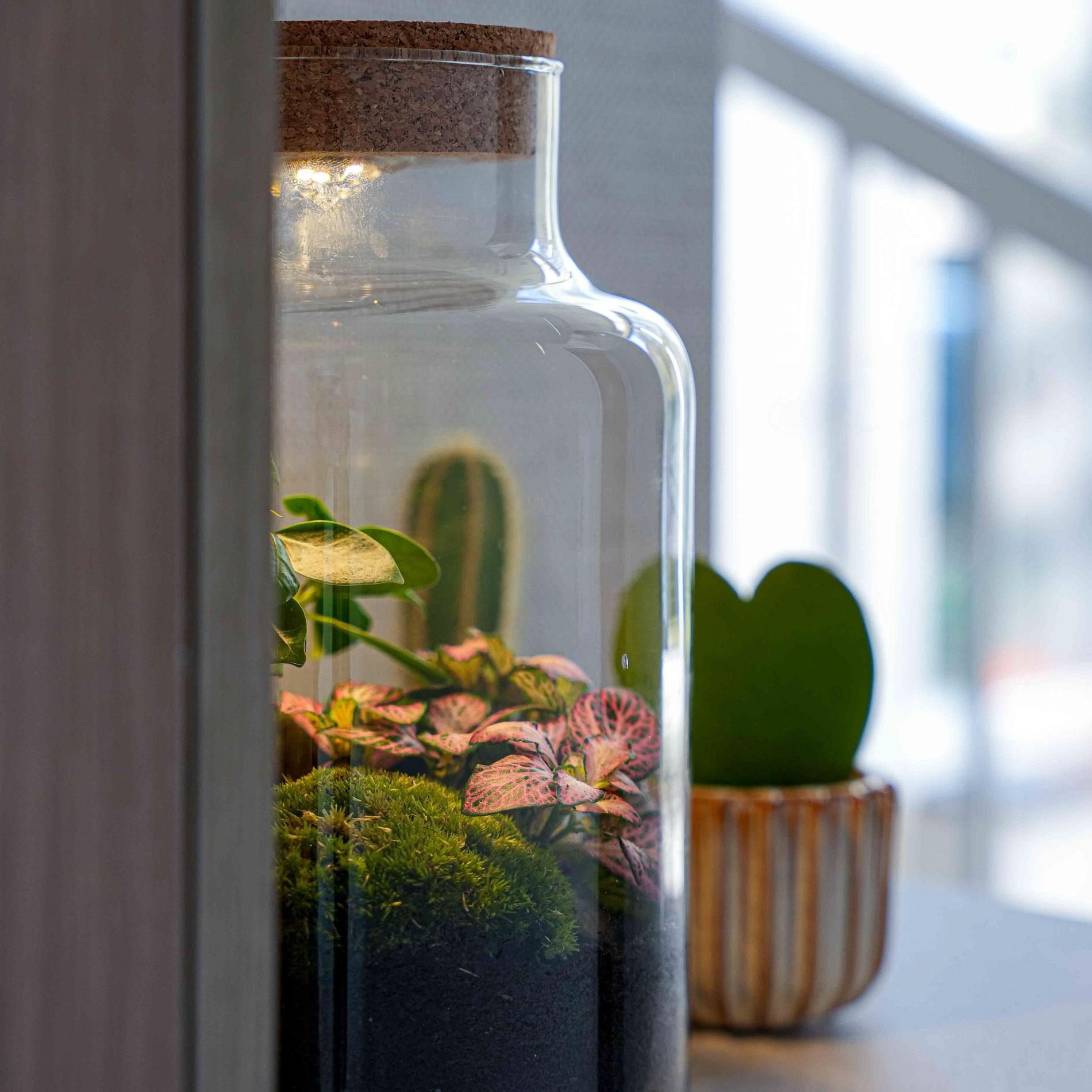 LOVE MOM' terrarium Little Milky + gegraveerde kurk met licht - Fles terrarium DIY kit - Ø 17 cm ↑ 25 cm - Moederdag