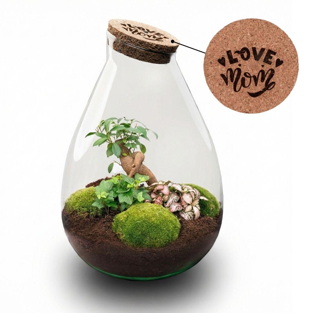 LOVE MOM' terrarium Drop XL + gegraveerde kurk - Fles terrarium DIY kit – Ø 24 cm ↑ 37 cm - Moederdag