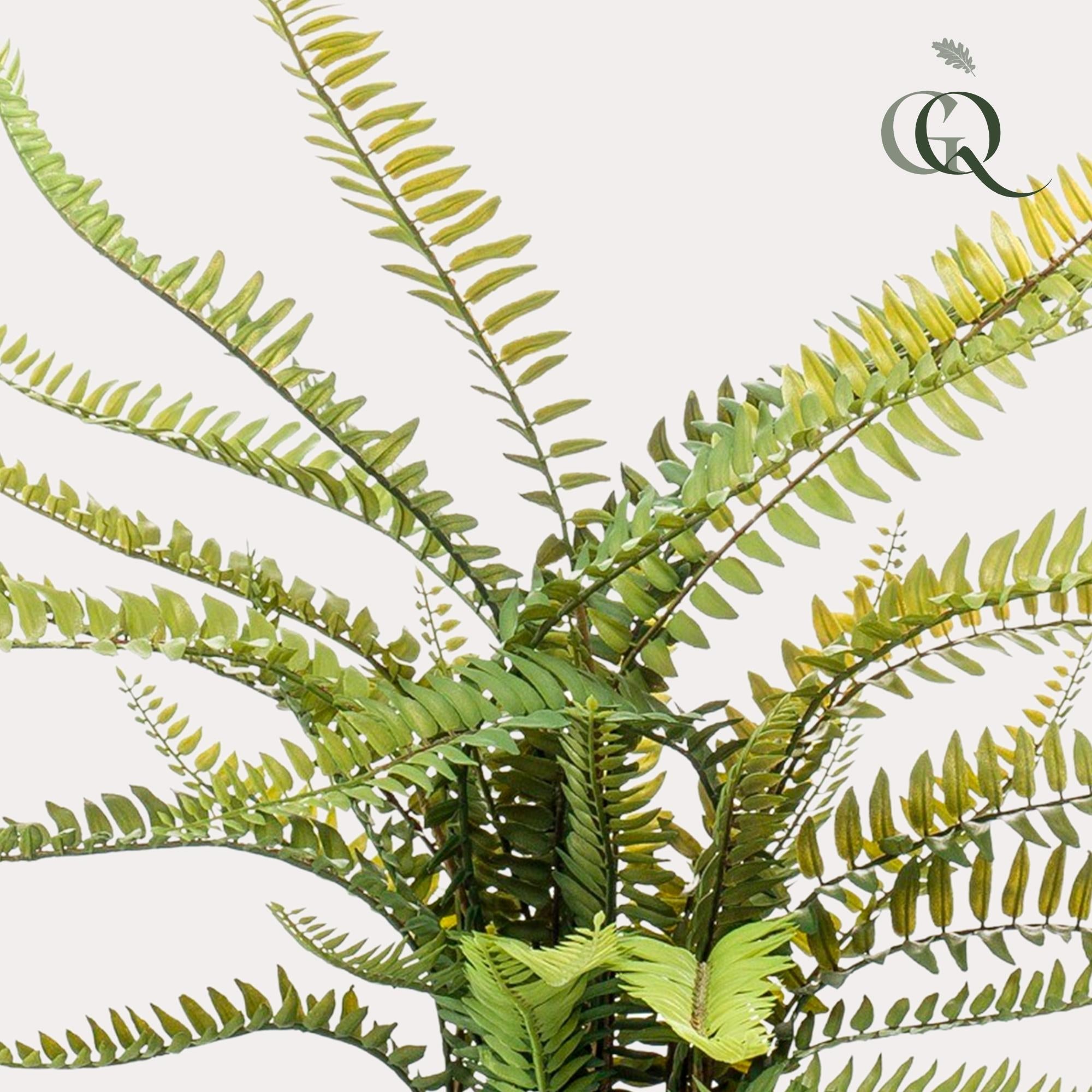 Pianta artificiale - Nephrolepis Exaltata - Felce di Boston - 55 cm