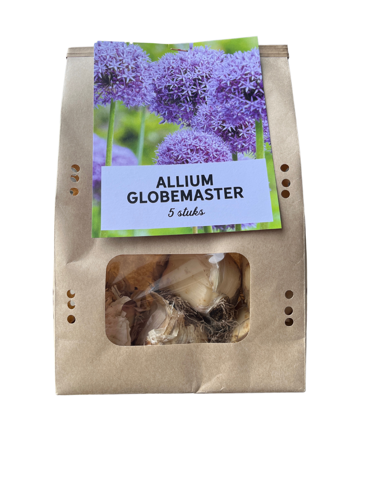 Globemaster – Allium-Zwiebeln, 5 Stück