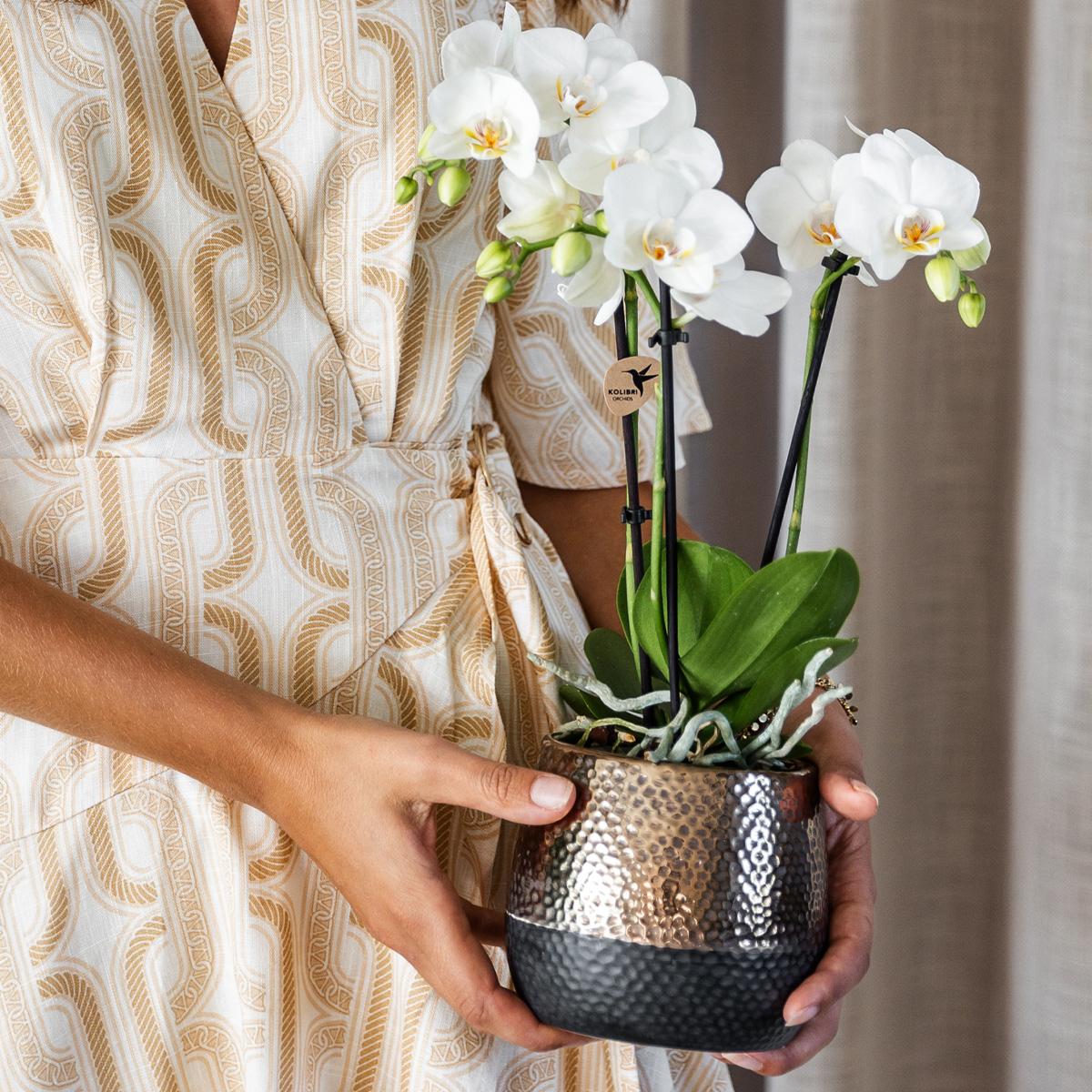 Kolibri Home | Elite pot copper  - Ø9cm