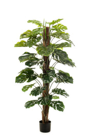 Monstera Deliciosa - pianta artificiale - 150 cm