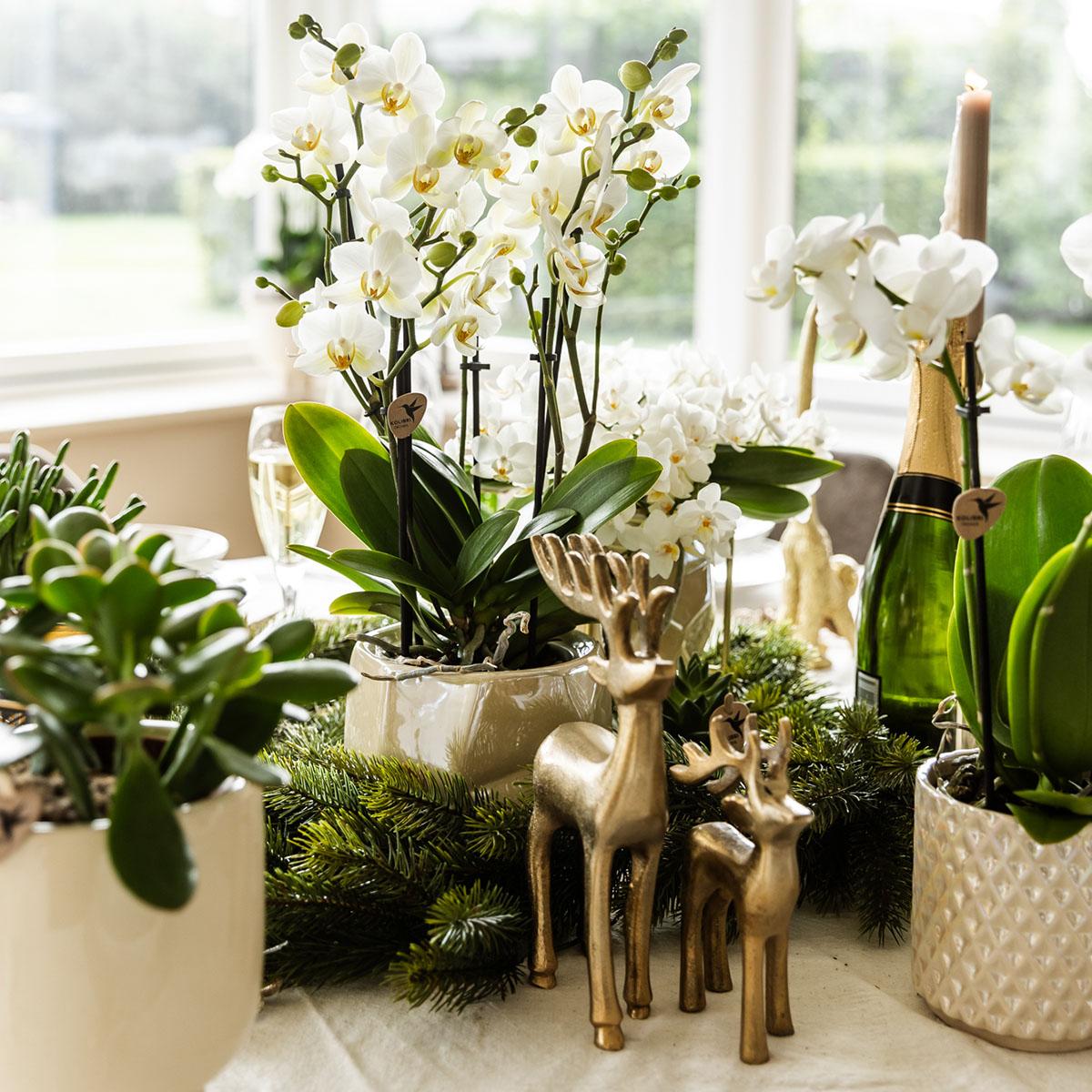 Kolibri Home | Pot décoratif Diamant Perle - Travertin - Ø9cm